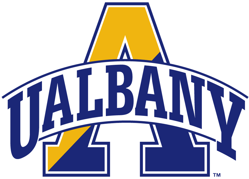 Albany Great Danes 2004-Pres Alternate Logo t shirts iron on transfers v6
